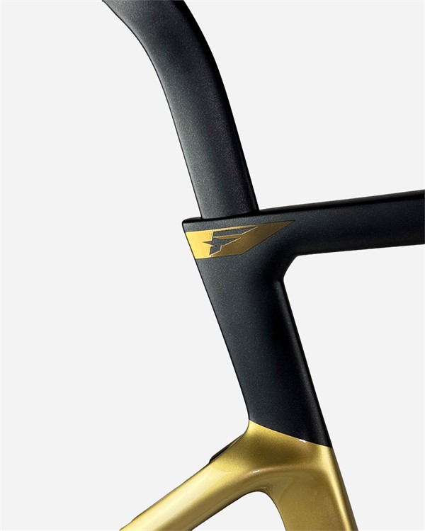 Pinarello DOGMA F Record WRL Bora WTO cestno kolo